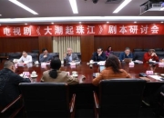 《大潮起珠江》电视剧剧本研讨会在北京举行